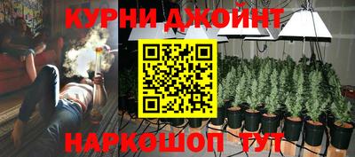 дживик Славгород