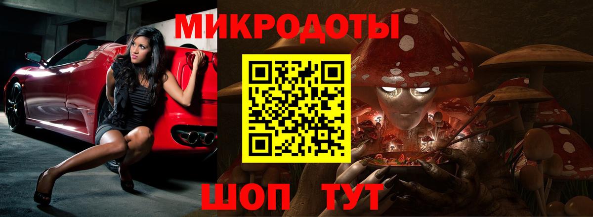 Псилоцибиновые грибы Cubensis Протвино